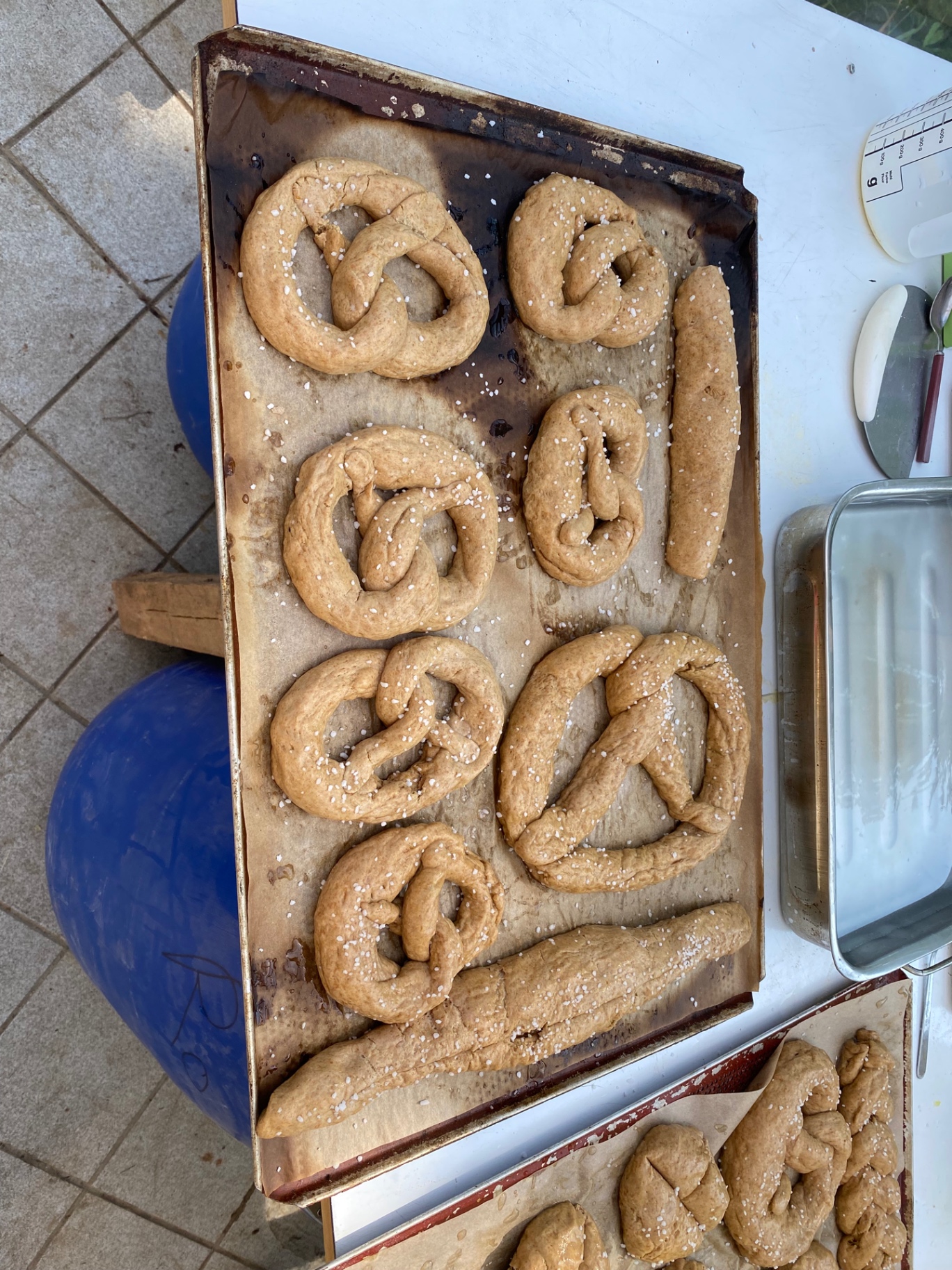 Ungebackene Brezen und Stangen aus Dinkelvollkornmehl auf dem Blech